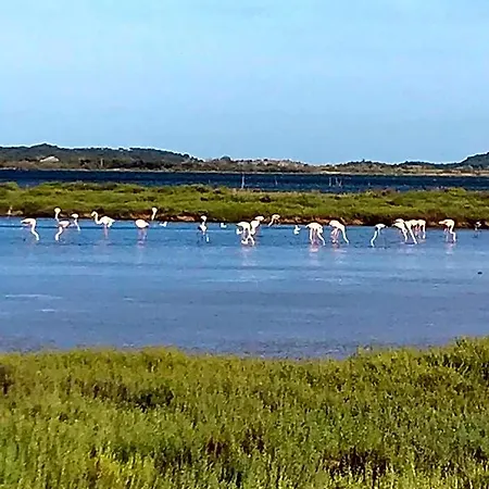 Gæstehus L Ostalada